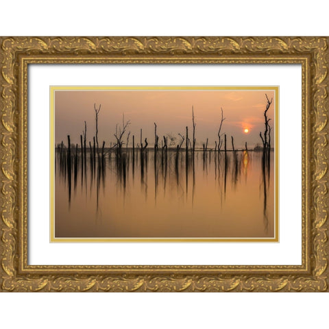 drowned forest Gold Ornate Wood Framed Art Print with Double Matting by Haaksma, Piet