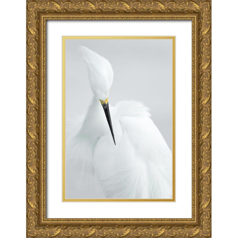 White beauty Gold Ornate Wood Framed Art Print with Double Matting by Kralik, Rostislav