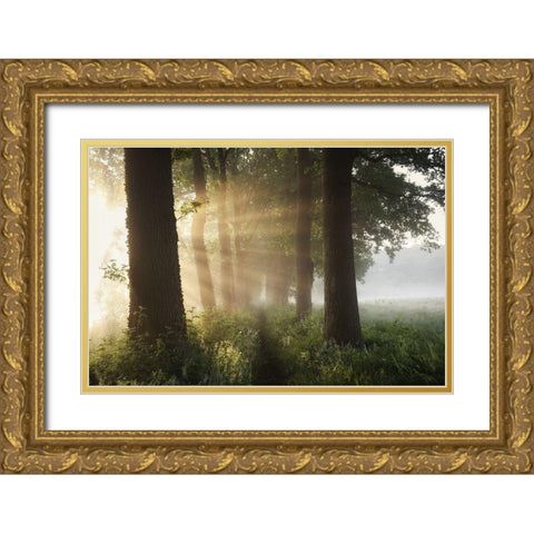First day of summer Gold Ornate Wood Framed Art Print with Double Matting by Croce, Vincent