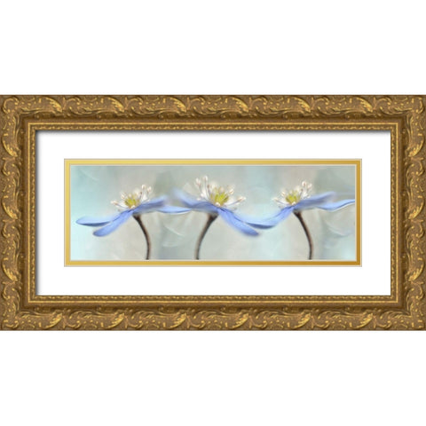 Dancing anemones Gold Ornate Wood Framed Art Print with Double Matting by Westum, Heidi