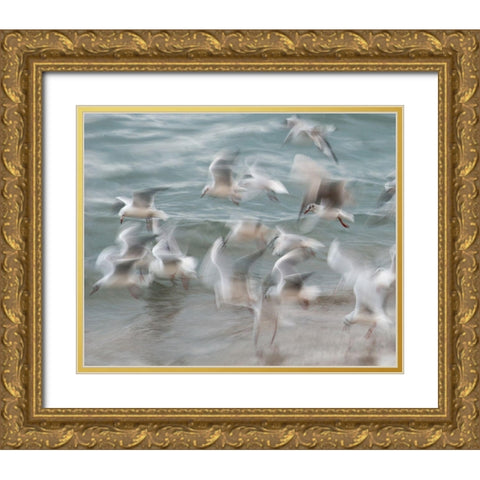 Birds Gold Ornate Wood Framed Art Print with Double Matting by Thorberntsson, Claes