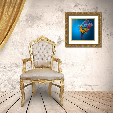 Flying Colours Gold Ornate Wood Framed Art Print with Double Matting by Almawash, Sulaiman