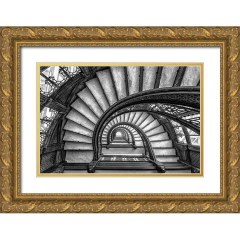 The Rookery Gold Ornate Wood Framed Art Print with Double Matting by Sun, Yimei