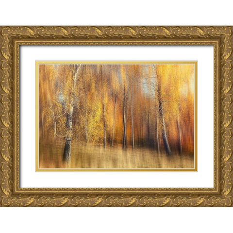Autumn Birches Gold Ornate Wood Framed Art Print with Double Matting by Davidsson, Gustav