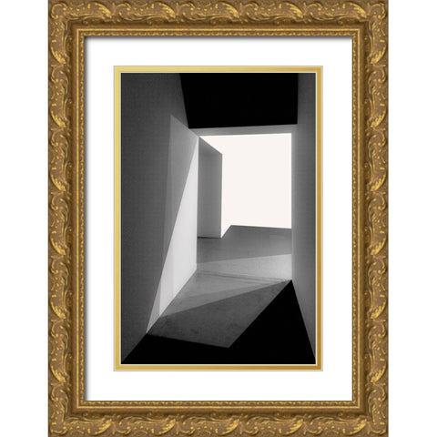 Light and shadows Gold Ornate Wood Framed Art Print with Double Matting by Schuster, Inge