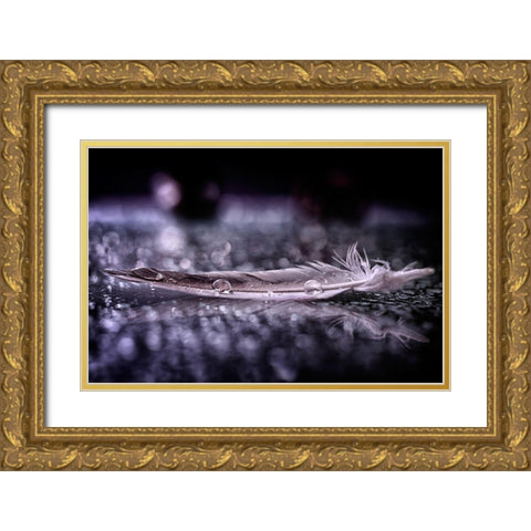 Feather and Drop II Gold Ornate Wood Framed Art Print with Double Matting by Fabiano, Alessandro