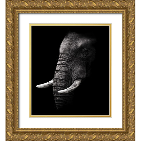Portrait Gold Ornate Wood Framed Art Print with Double Matting by Wildphotoart
