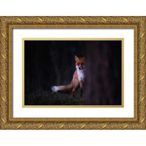 Glances Gold Ornate Wood Framed Art Print with Double Matting by Mastahac, Sebastian