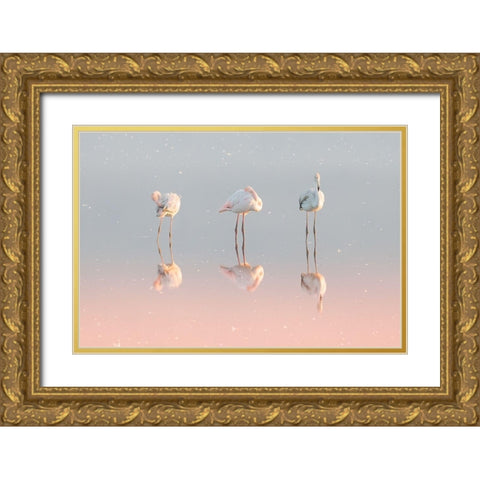 Three flamingos ... Gold Ornate Wood Framed Art Print with Double Matting by Rublina, Natalia
