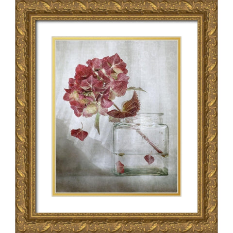 Hydrangea Gold Ornate Wood Framed Art Print with Double Matting by Disher, Mandy