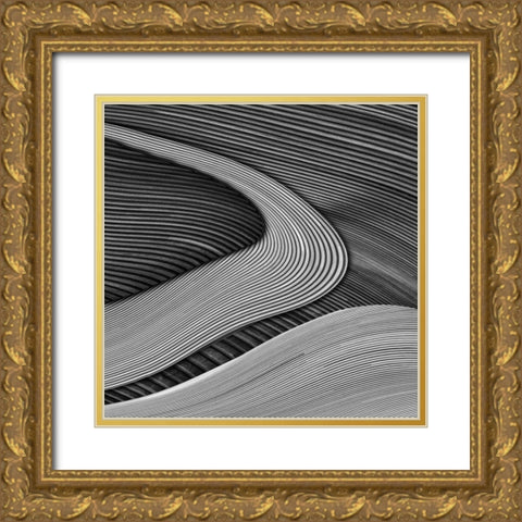 The wood project III - Zen garden Gold Ornate Wood Framed Art Print with Double Matting by Vangindertael (Lagrange), Luc