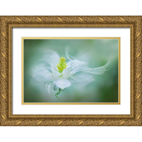 Mystical Gold Ornate Wood Framed Art Print with Double Matting by Parker, Jacky