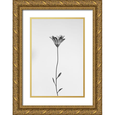 Daisy Gold Ornate Wood Framed Art Print with Double Matting by Lagandre, Thierry