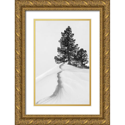 About the snow and forms Gold Ornate Wood Framed Art Print with Double Matting by Nunez Buj, Rodrigo