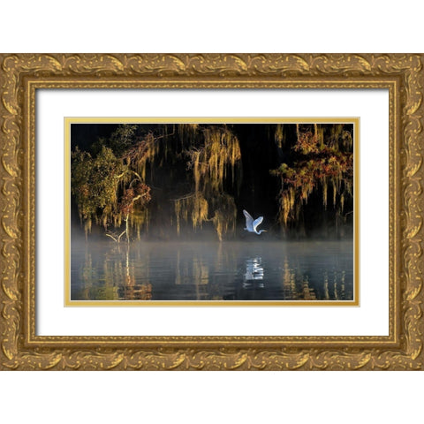 Egret Gold Ornate Wood Framed Art Print with Double Matting by Zhu, Hua