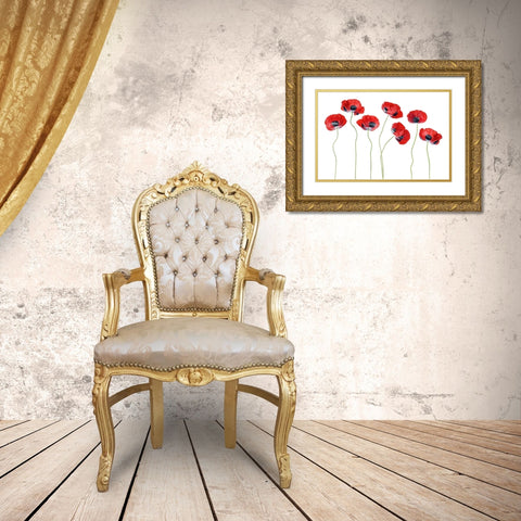 Ladybird Poppies Gold Ornate Wood Framed Art Print with Double Matting by Disher, Mandy