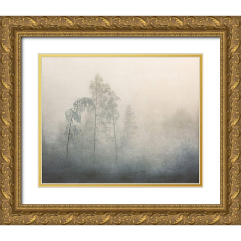 -20 Gold Ornate Wood Framed Art Print with Double Matting by KvÃ¦rnstrÃ¸m, Ã…smund