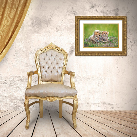 Promising Gold Ornate Wood Framed Art Print with Double Matting by Roshkumar