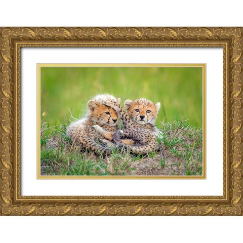 Promising Gold Ornate Wood Framed Art Print with Double Matting by Roshkumar