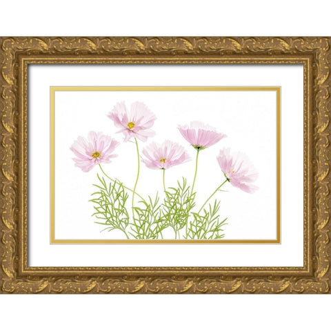 Cosmos Cupcake Gold Ornate Wood Framed Art Print with Double Matting by Disher, Mandy