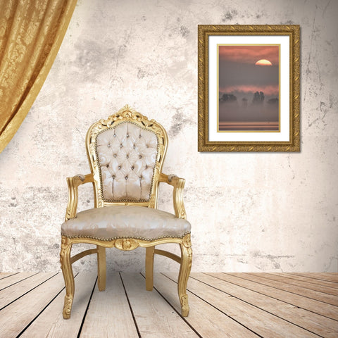 Sun III Gold Ornate Wood Framed Art Print with Double Matting by Hieke, Heinz