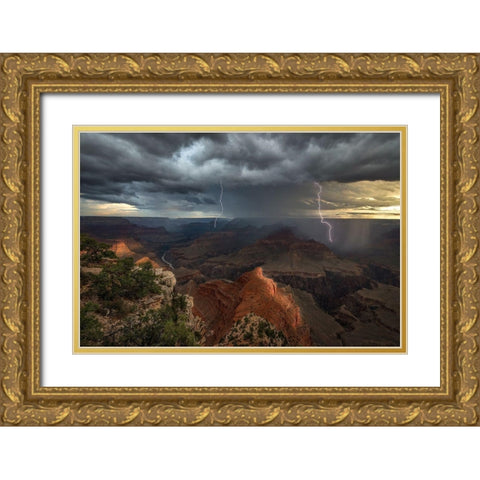 Mohave Point Thunderstorm Gold Ornate Wood Framed Art Print with Double Matting by W Dodson, John