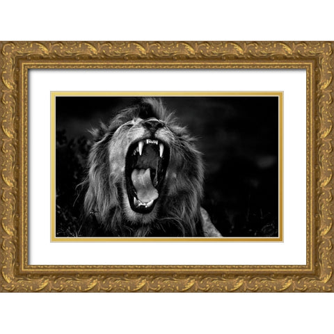 Untitled Gold Ornate Wood Framed Art Print with Double Matting by Damico, Giuseppe