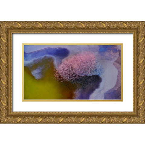 Incredible colors Gold Ornate Wood Framed Art Print with Double Matting by Chang, Phillip