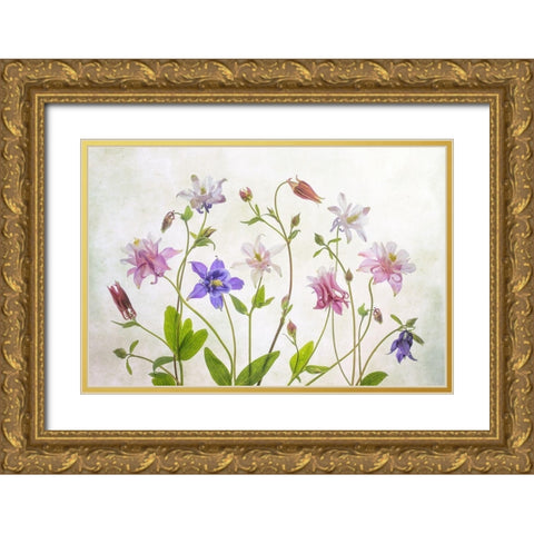 Columbine Gold Ornate Wood Framed Art Print with Double Matting by Disher, Mandy