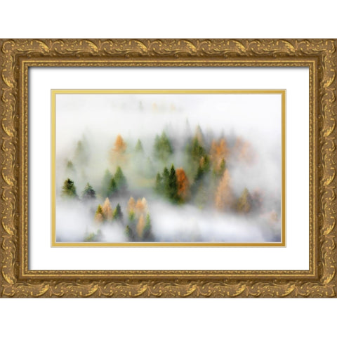 Autumn Dream Gold Ornate Wood Framed Art Print with Double Matting by Rems, Kristjan