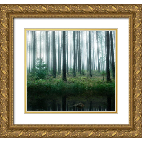 Lake in forest Gold Ornate Wood Framed Art Print with Double Matting by Lindsten, Christian