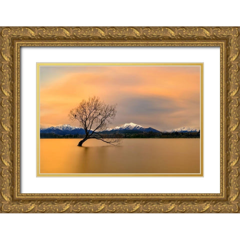 Morning glow of the Lake Wanaka Gold Ornate Wood Framed Art Print with Double Matting by Zhu, Hua