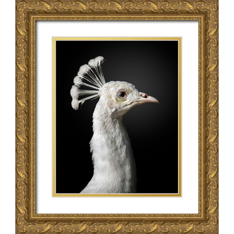 M A J E S T I C Gold Ornate Wood Framed Art Print with Double Matting by Fegari