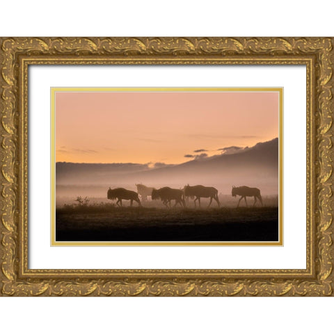Early morning in Serengeti Gold Ornate Wood Framed Art Print with Double Matting by Moglia, Fabrizio