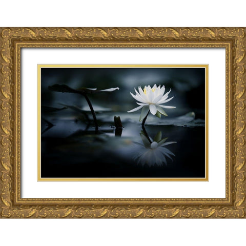 Reflection Gold Ornate Wood Framed Art Print with Double Matting by Suzuki, Takashi