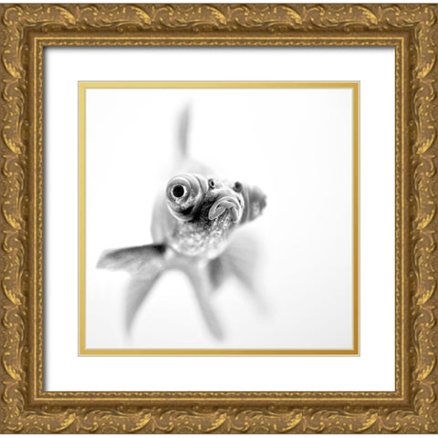 Im ready for my close up Gold Ornate Wood Framed Art Print with Double Matting by Paul