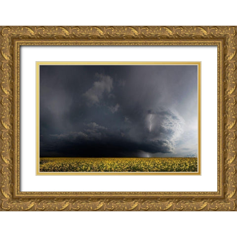 Gewitterfront Gold Ornate Wood Framed Art Print with Double Matting by Schumacher, Nicolas
