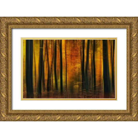 Autumn falls Gold Ornate Wood Framed Art Print with Double Matting by Paul Kraaij, Jan