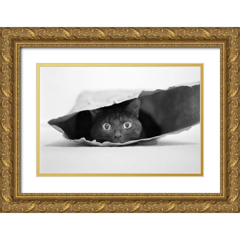 Cat in a bag Gold Ornate Wood Framed Art Print with Double Matting by Holthuysen, Jeremy