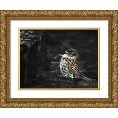the Wall Gold Ornate Wood Framed Art Print with Double Matting by Droste, Holger