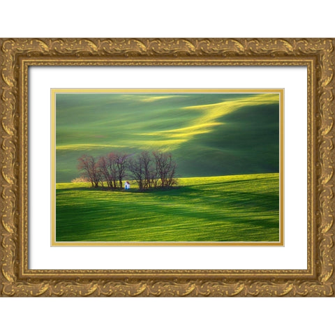 Fields Gold Ornate Wood Framed Art Print with Double Matting by Browko, Krzysztof