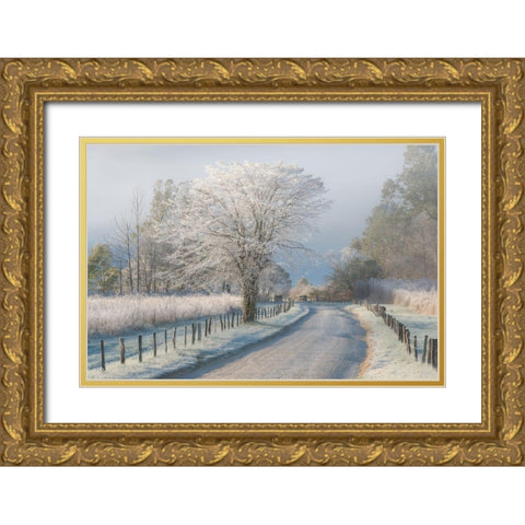A Frosty Morning Gold Ornate Wood Framed Art Print with Double Matting by Moore, Chris