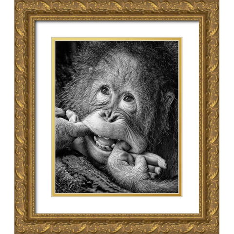 Big Smile please Gold Ornate Wood Framed Art Print with Double Matting by Muliani Hartojo, Angela