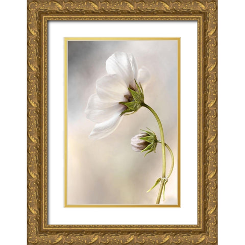 Heavenly Cosmos Gold Ornate Wood Framed Art Print with Double Matting by Disher, Mandy