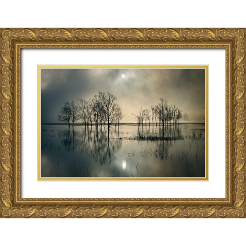 Lakes Secret Gold Ornate Wood Framed Art Print with Double Matting by Joanne_Flj