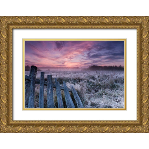 Dawn of Bialowieza Meadows Gold Ornate Wood Framed Art Print with Double Matting by Lorant, Krzysztof