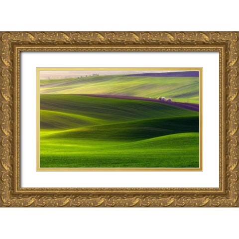 Verdant land Gold Ornate Wood Framed Art Print with Double Matting by Krol (Bax), Piotr