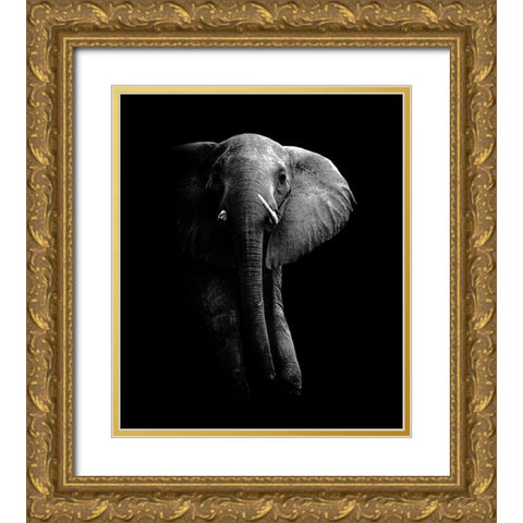 Elephant Gold Ornate Wood Framed Art Print with Double Matting by Wildphotoart