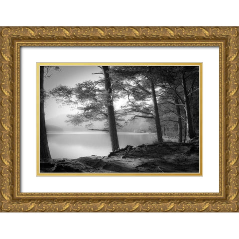 Loch an Eilein Gold Ornate Wood Framed Art Print with Double Matting by Fuhg, Dorit