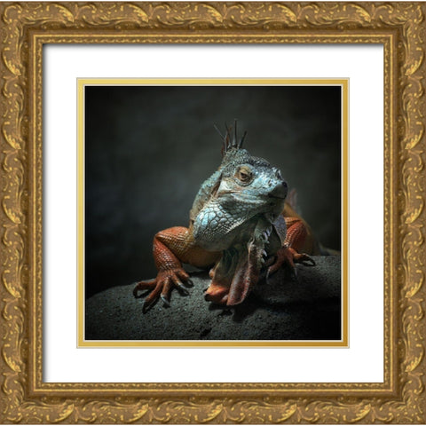 I am the King who else Gold Ornate Wood Framed Art Print with Double Matting by Droste, Holger